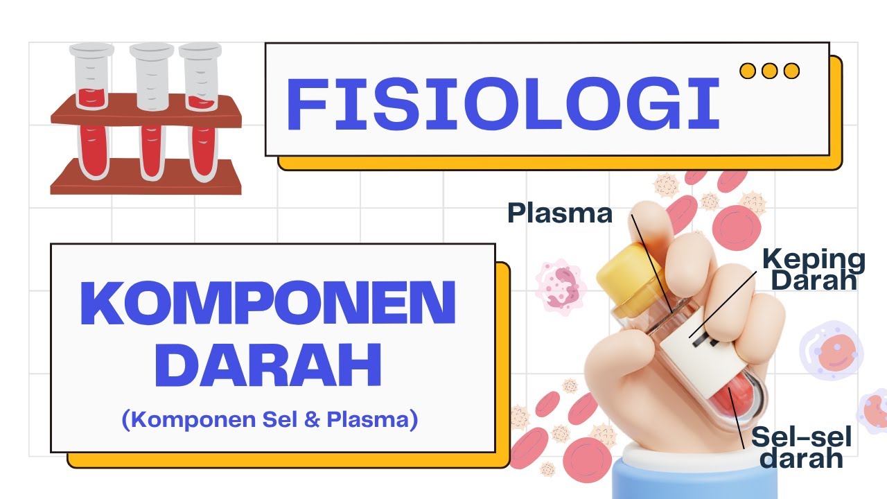 Komponen Dalam Darah (Plasma & Sel Darah) | Hematologi 101
