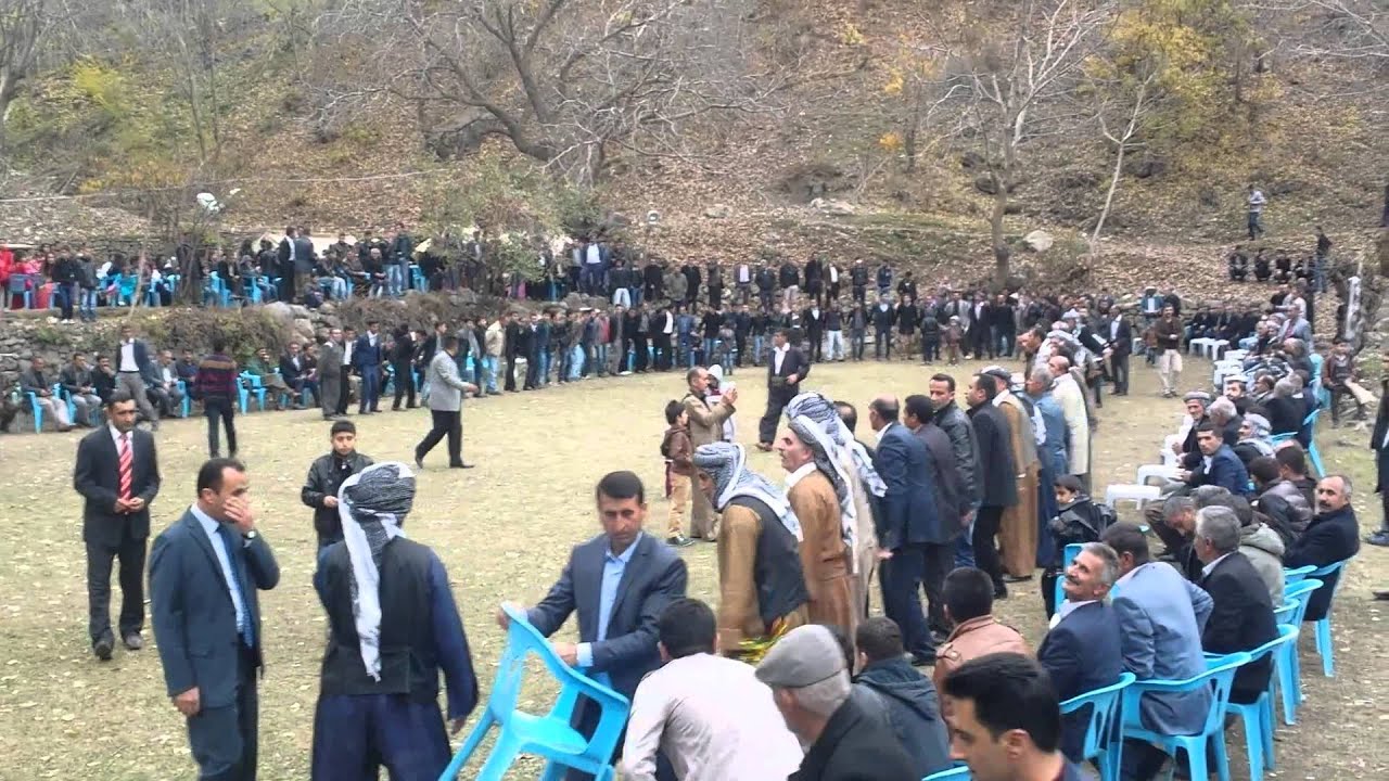 Kava Şirvan daweta jirkiya gowenda sepe keh&ecirc; ağa&ccedil;dibi