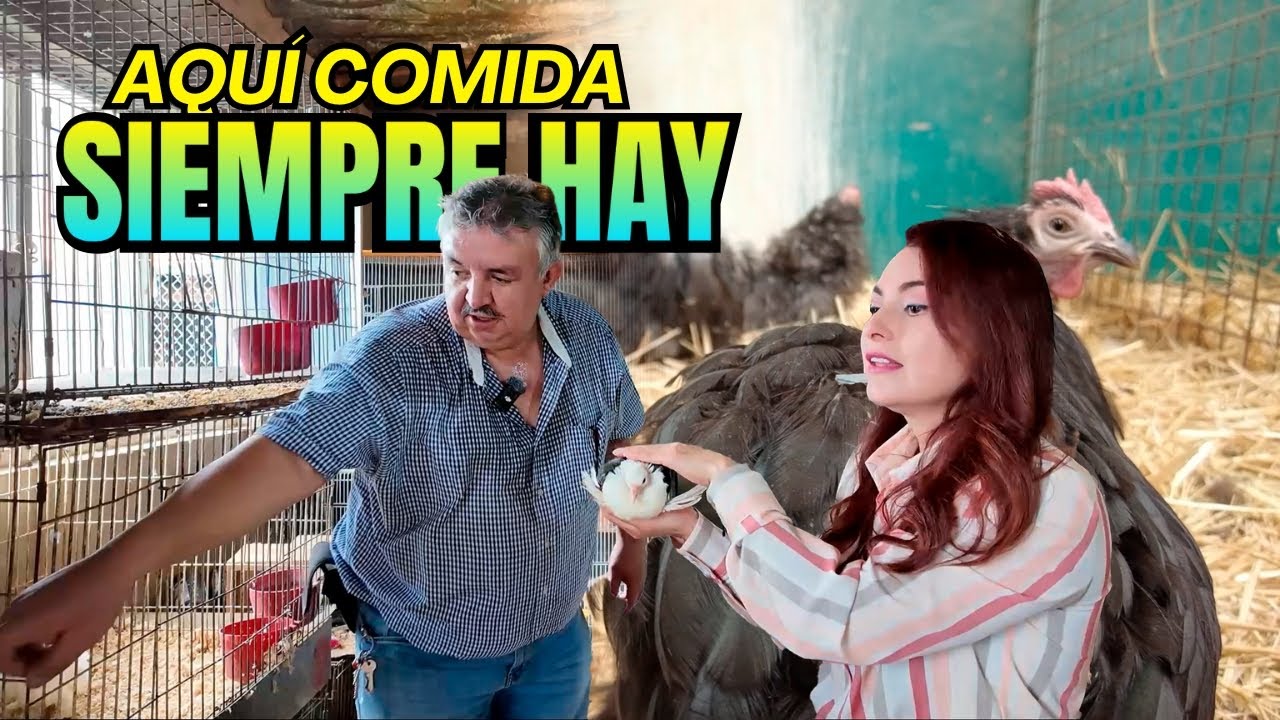SE LES PONE COMIDA, ELLOS SABRAN CUANDO COMEN