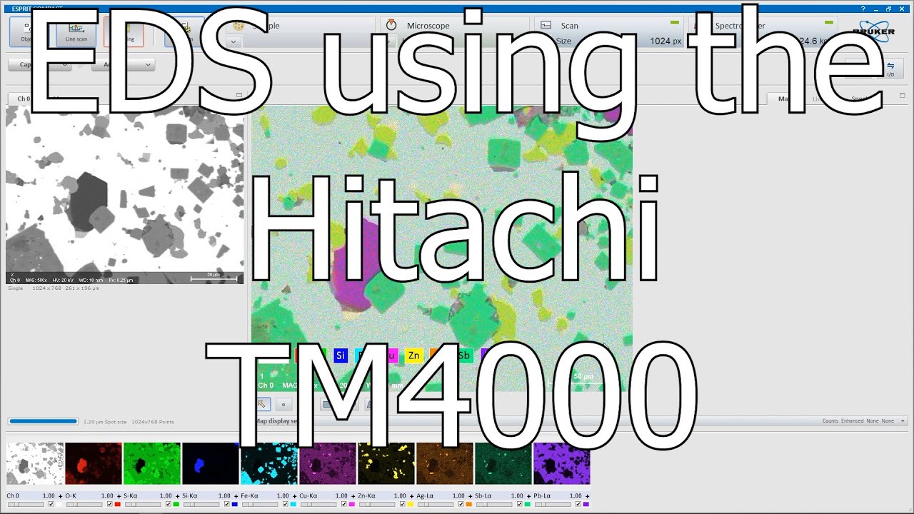 Hitachi TM4000Plus Benchtop SEM EDS Workflow