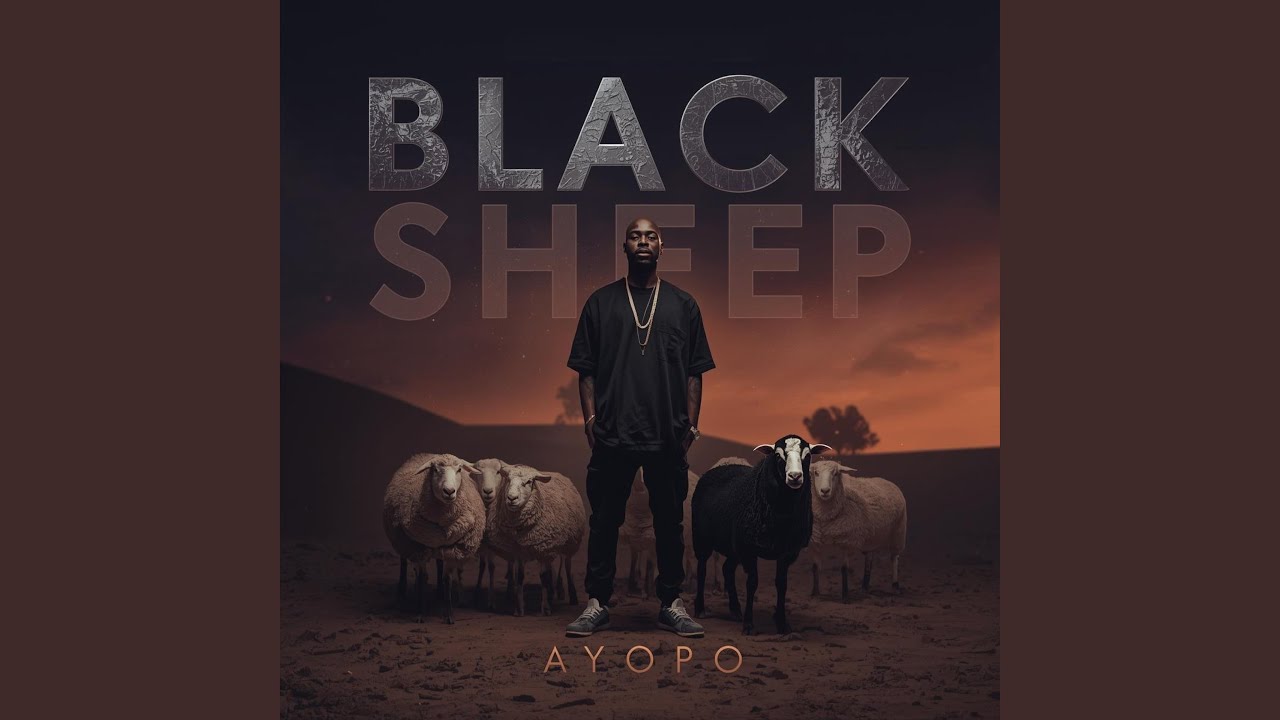Black Sheep
