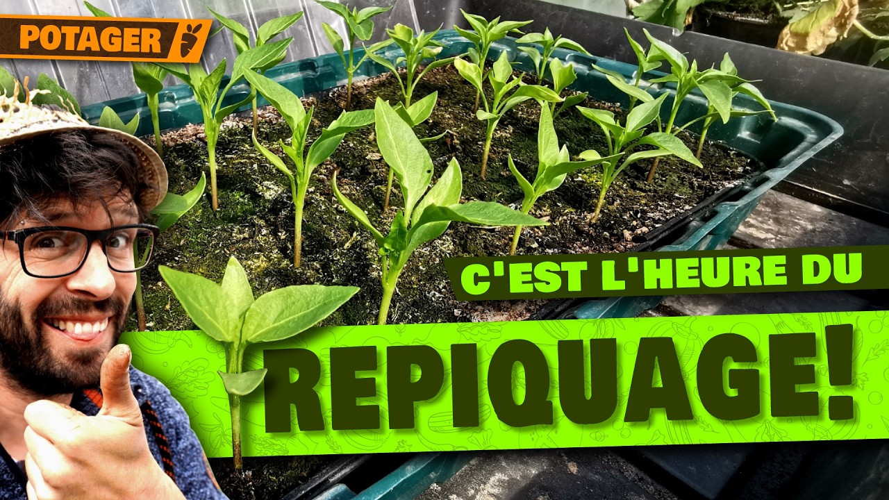 🔥 POTAGER AVRIL SEMAINE 2: 😱 JE PLANTE D&Eacute;J&Agrave; MES TOMATES EN AVRIL ?! 🌱