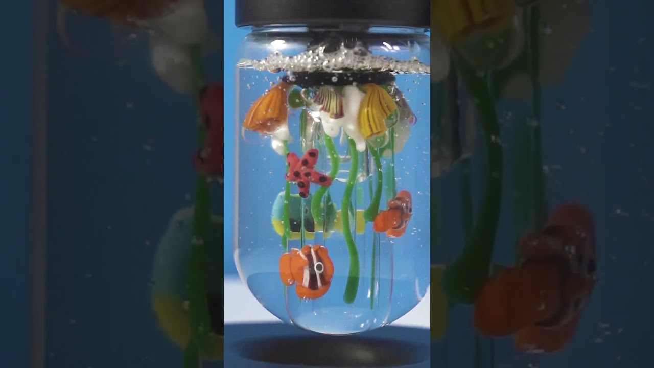 Under the Sea Teaser