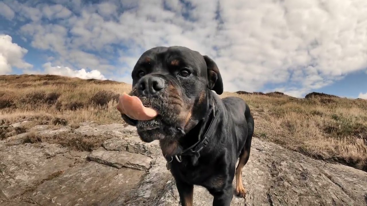 Collect moments not things 