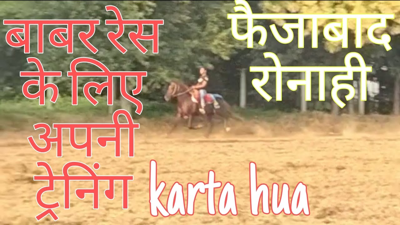 Prtapgarh Lucy singh ka ghoda Babar apni trending karta hua Faizabad raonahi race ke liye #horserace