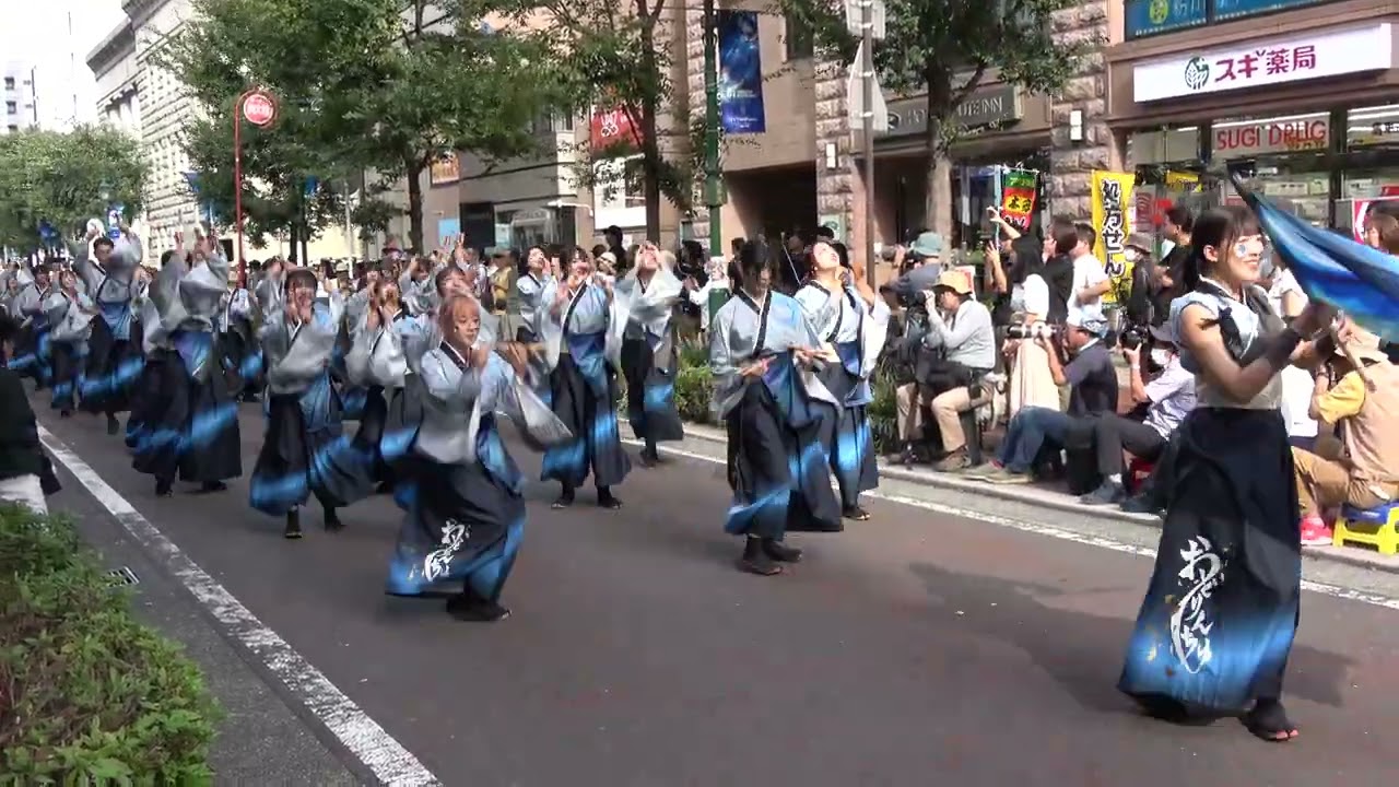 横浜よさこい2024 ～ 学生よさこいチームおどりんちゅ （馬車道通りパレード1）
