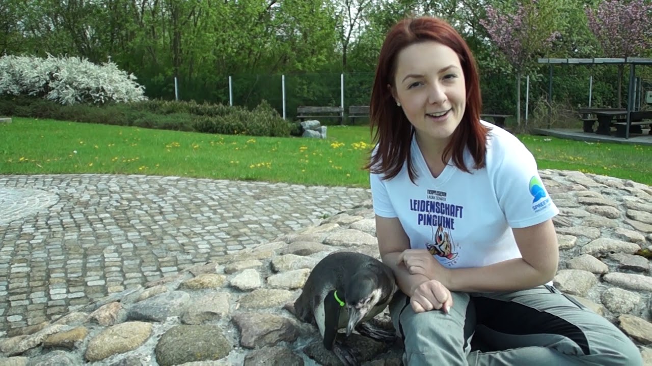 Unter Pinguinen - Folge 10