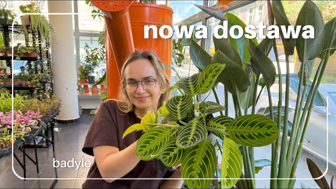Jesteśmy uzależnione od roślin | nowa dostawa | ogrom pnących badyli | MAJÓWKA | wymiana roślin 🪴❤️