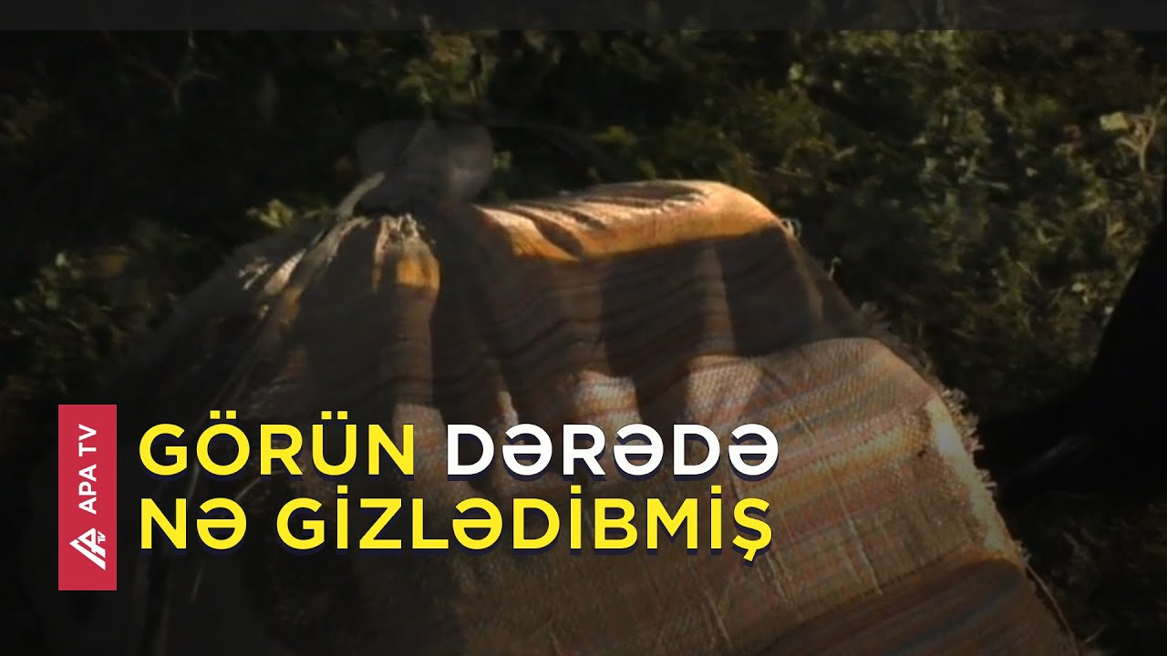 Lənkəran sakini Yardımlıda ələ keçdi - APA TV