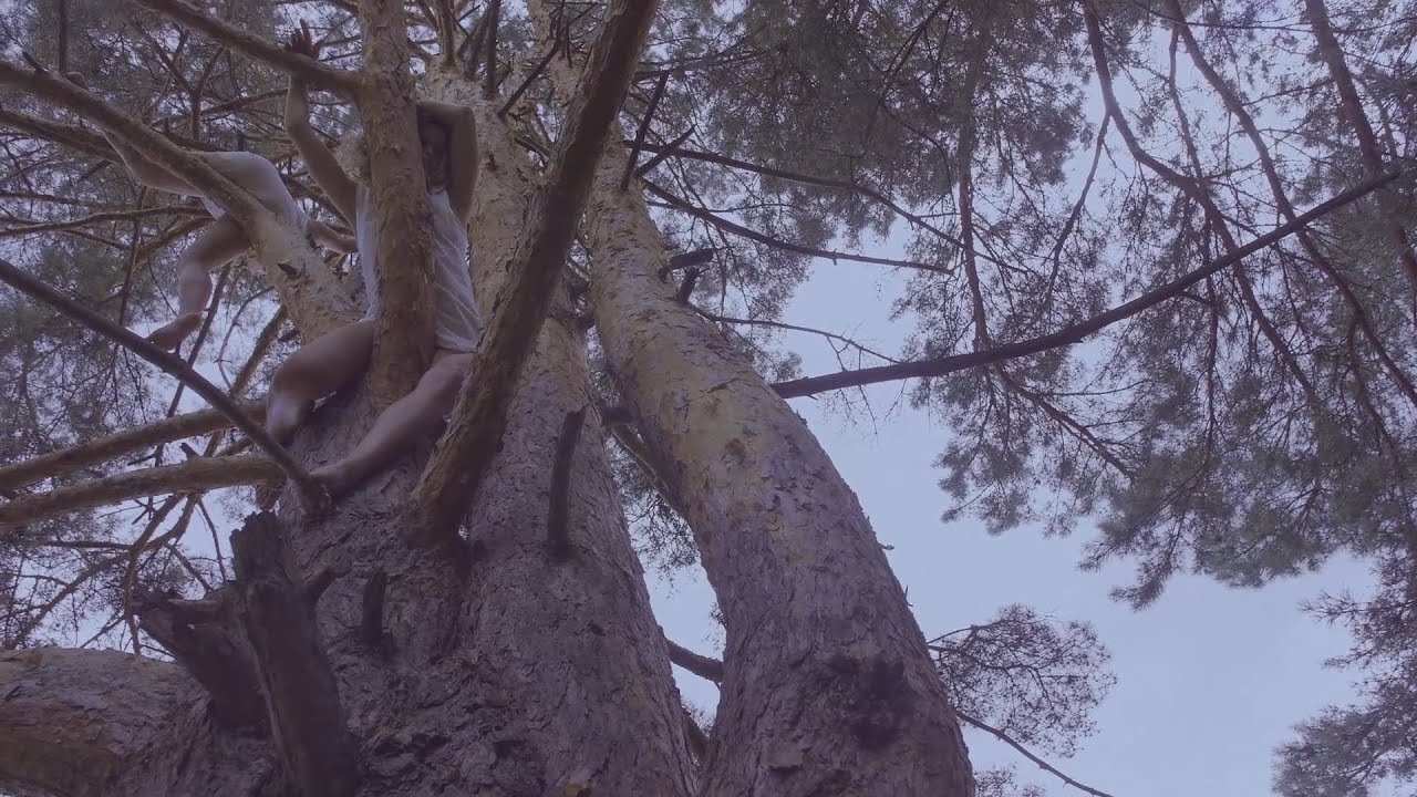 Love For Forest