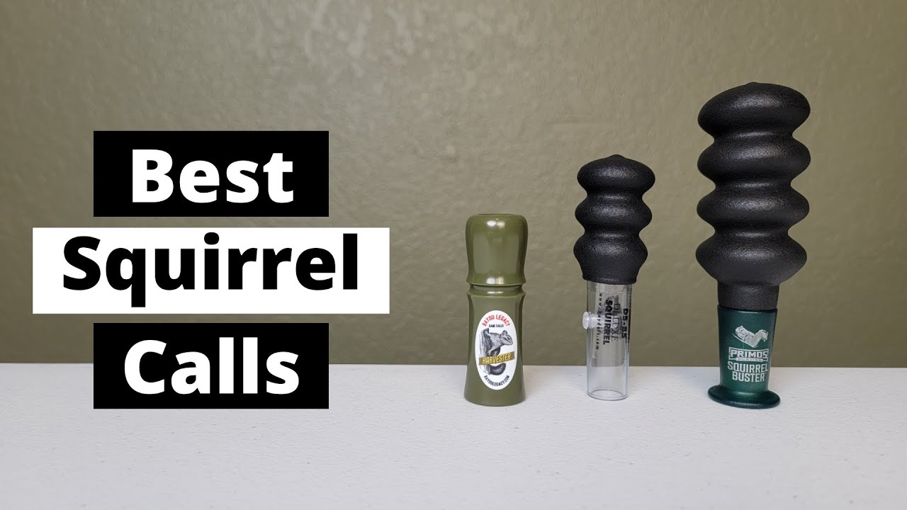 Top 4 Best Squirrel Calls for Hunting in 2022
