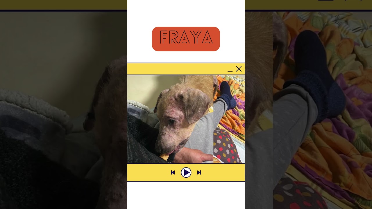 Fraya | Fraya wird immer aufgeschlossener | 