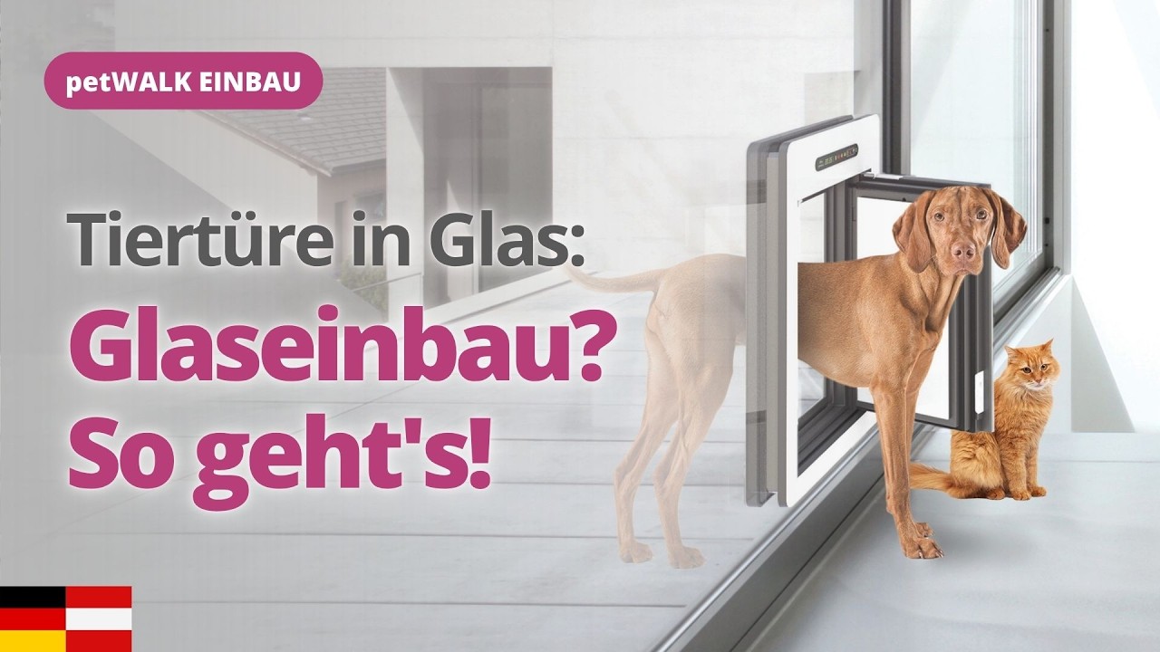 petWALK - Einbau der Hundetüre / Katzentüre in Isolierglasscheibe & Glas