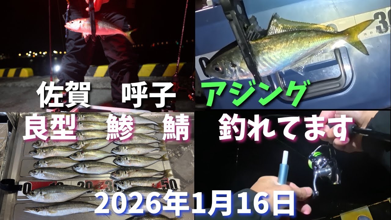 【アジング】佐賀　呼子　釣り車中泊　