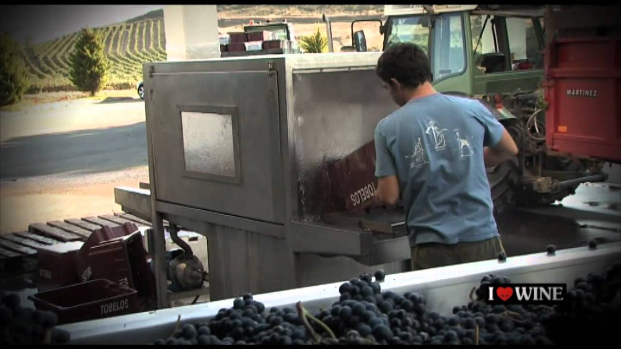 Bodegas Tobelos. Elaboración de Vinos Rioja. ILOVEWINE