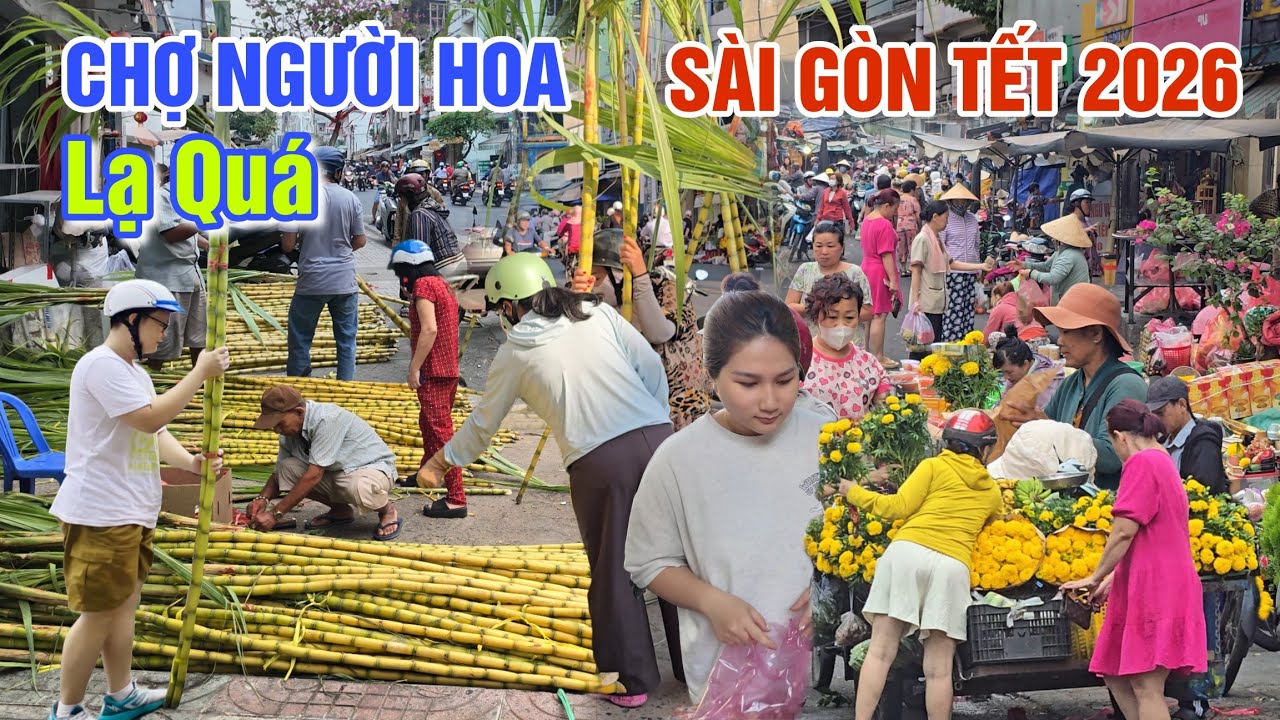 ĐỘC LẠ NGÀY HỘI BẮT THANG LÊN TRỜI CỦA NGƯỜI HOA - TẾT SÀI GÒN 2026 DÒNG NGƯỜI KẸT CỨNG Ở CHỢ THIẾC