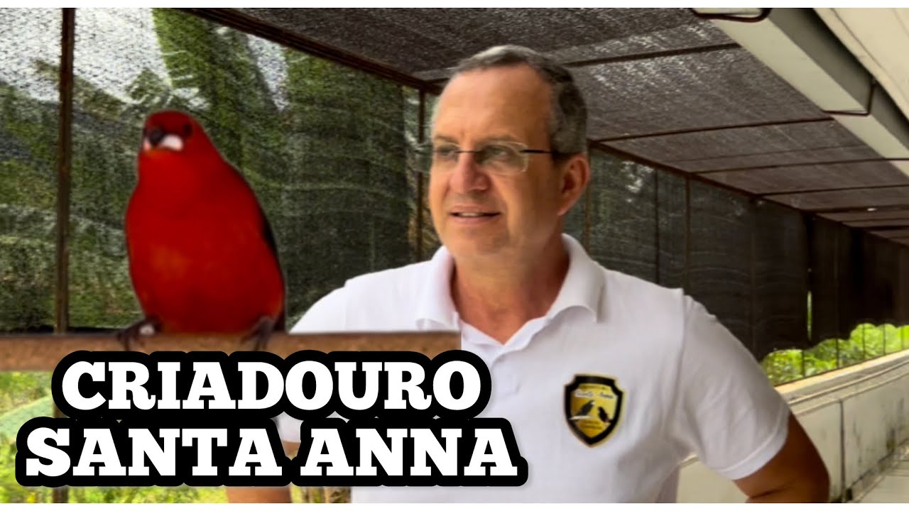 Tie Sangue, Sabiás, Trinca Ferro… e muita resenha! Uma manhã especial