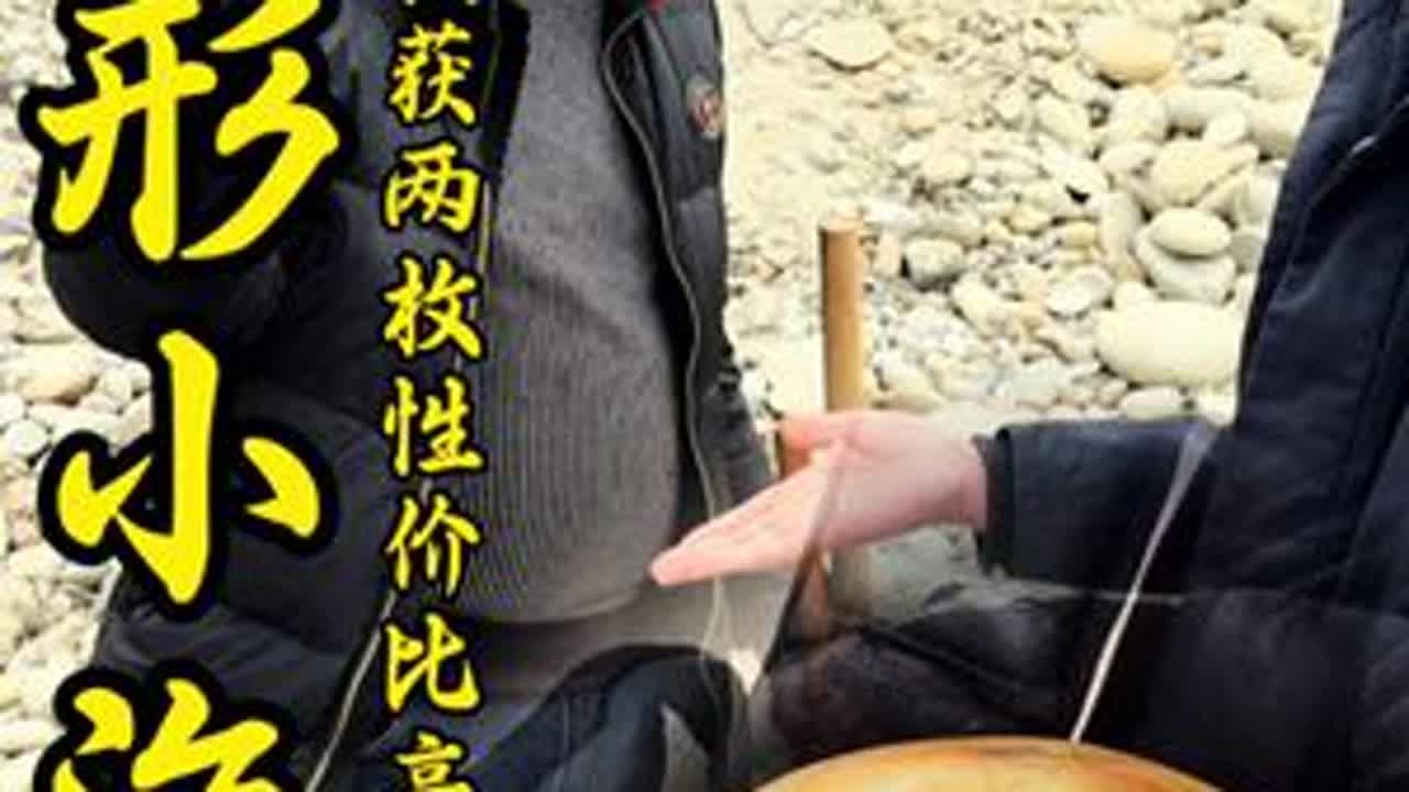 收获两枚性价比高的手把 象形小海豚是一个入门级手把，另一个可作为一个佐料也可直接把玩。#和田玉#彭掌柜和田玉#玉石籽料#挖玉第一现场#玉帝哥哥和田玉