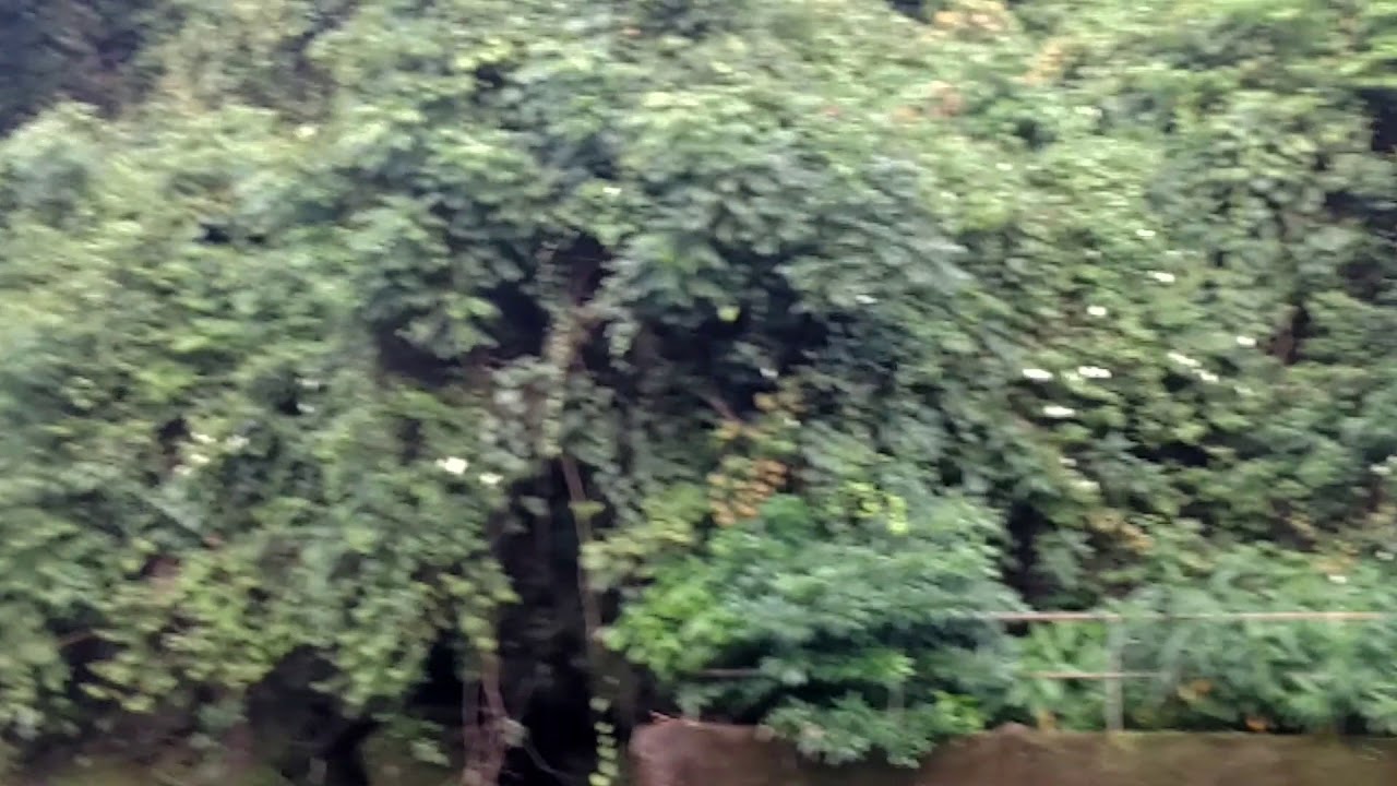 Arvalam Waterfalls - Goa