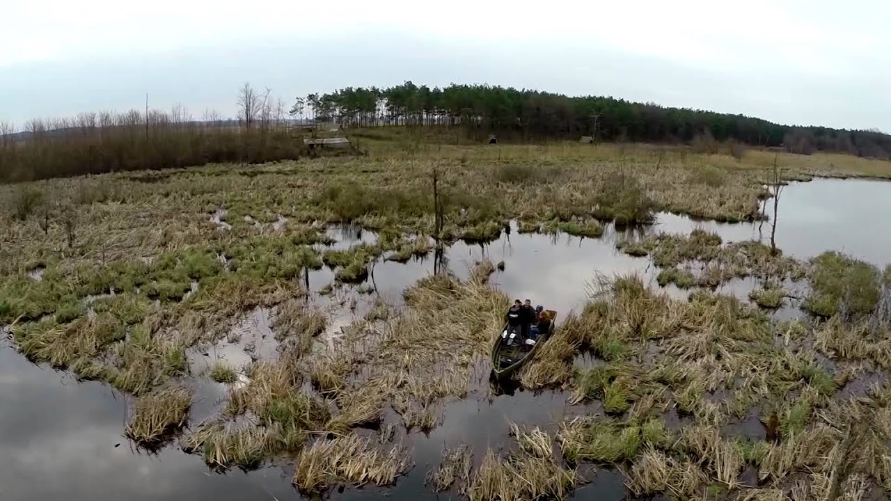 ZÖLD POKOL BUGYRA