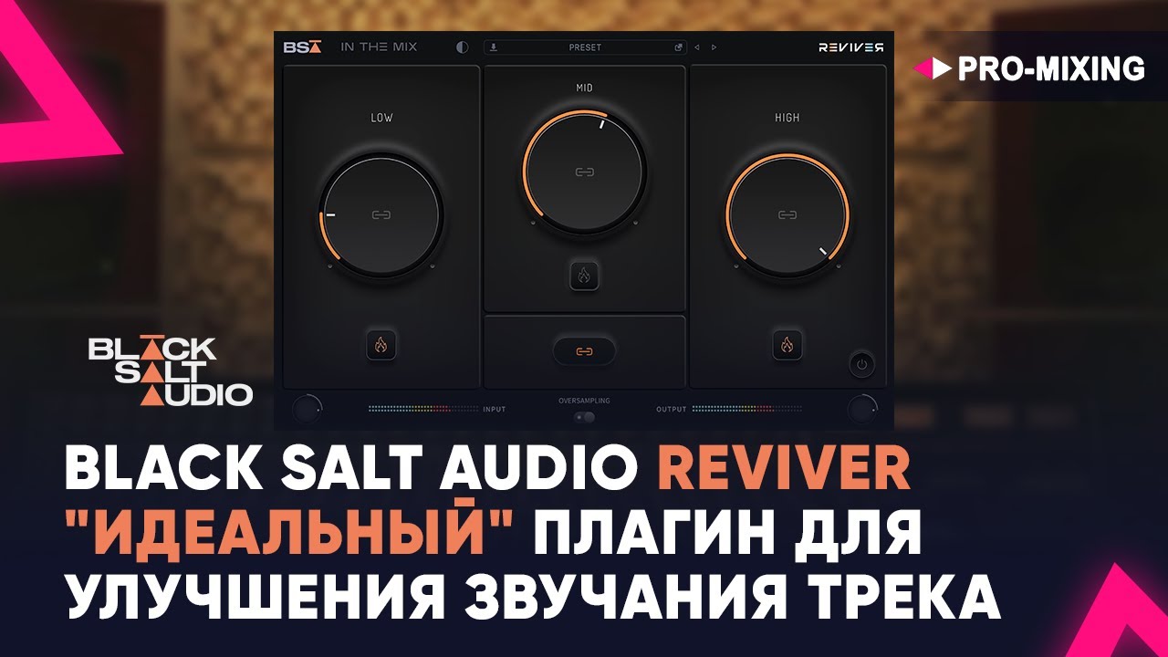 Black Salt Audio REVIVER : 