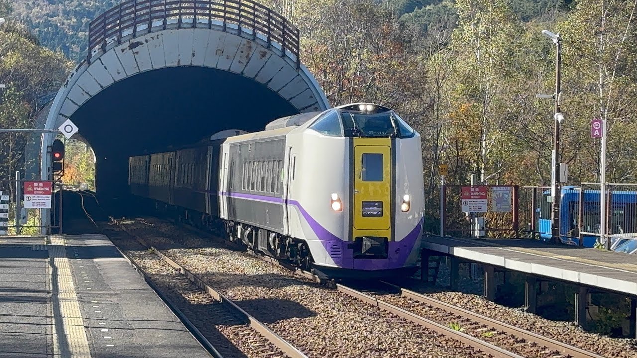 秋のトマム駅を発着するキハ261系特急とかち６号、3号、特急おおぞら５号、６号［JR北海道/石勝線］ #JR北海道 #石勝線 #キハ261系 #特急列車 #特急とかち #特急おおぞら #発着