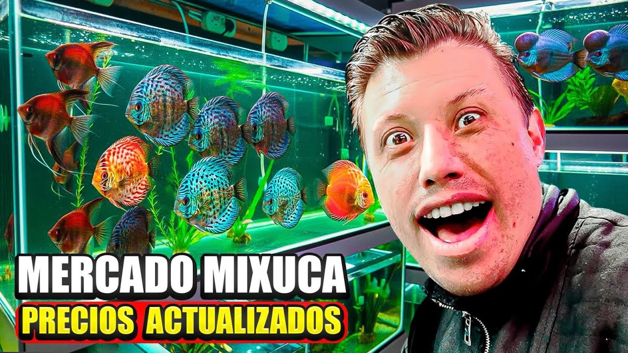 Mercado de los peces MIXIHUCA precios 2026