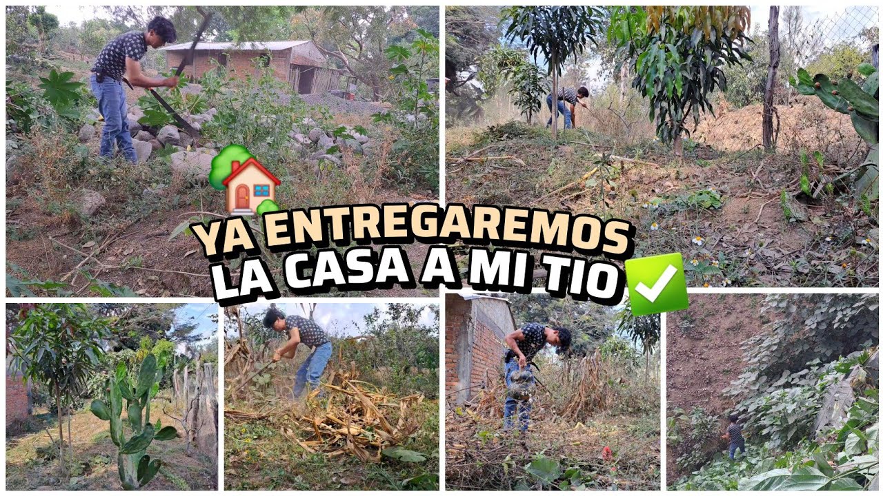 PREPARANDO la CASA para ENTREGARLA ✨️ Limpio el Patio 🏡