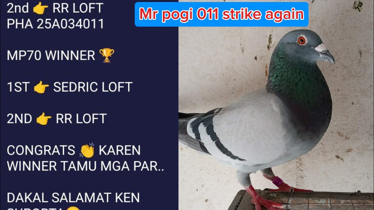 Polling winner 🏆 ulit SI Mr pogi 011