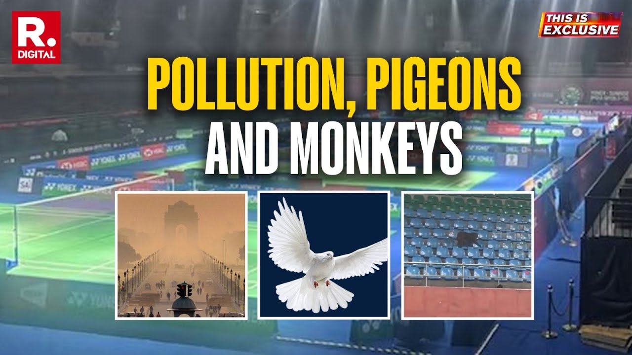 This is Exclusive: Not Players And Racquets But Monkeys And Pigeons | Badminton Controversy