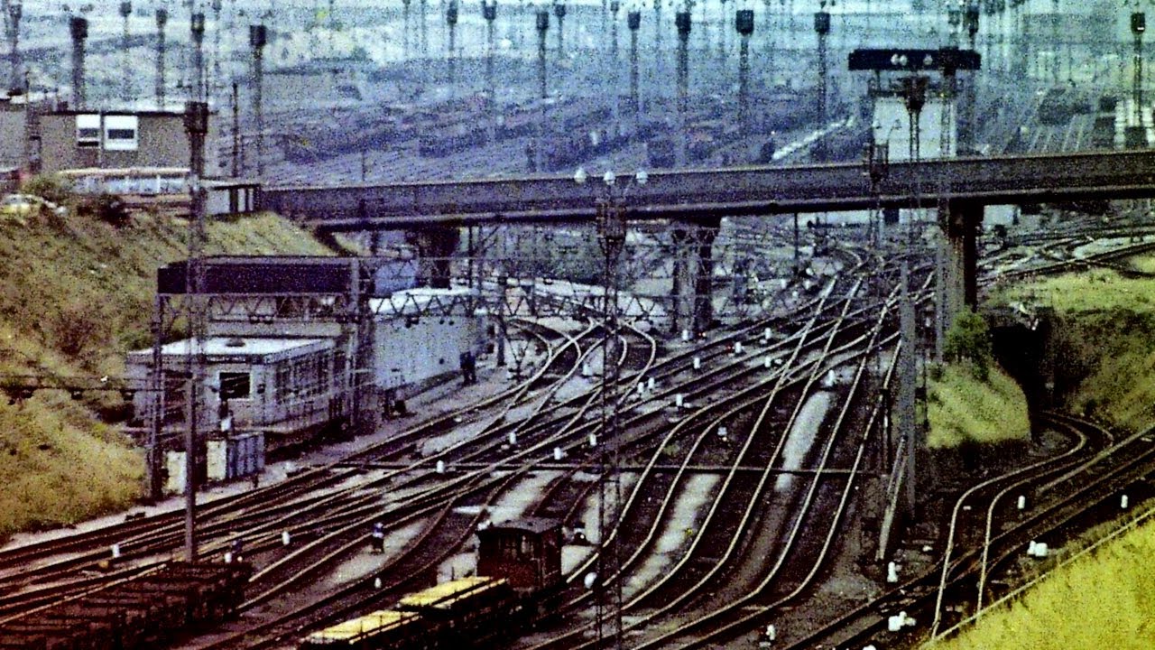 British Railwaves: The Open Space Among Woods