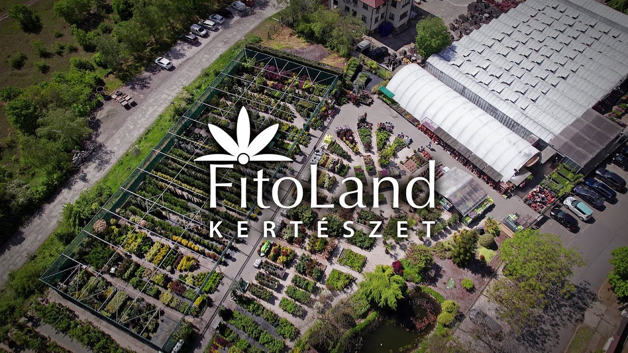 Fitoland Kert&eacute;szet &eacute;s D&iacute;szfaiskola a Kamaraerdőn&eacute;l