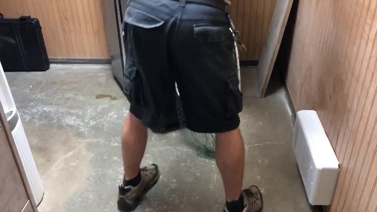 Groundhog Goes To Work!