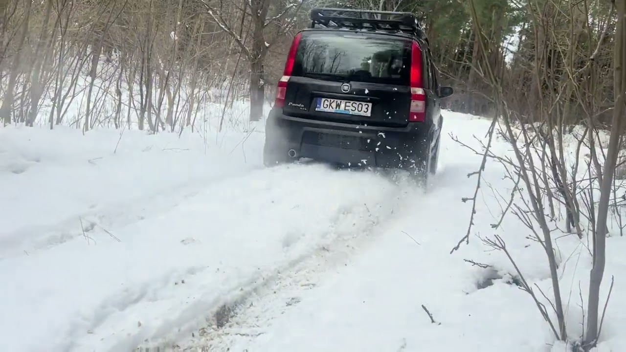 panda 4x4 teren