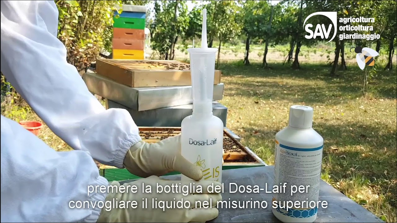 Come usare Api-Bioxal. Soluzione per alveare