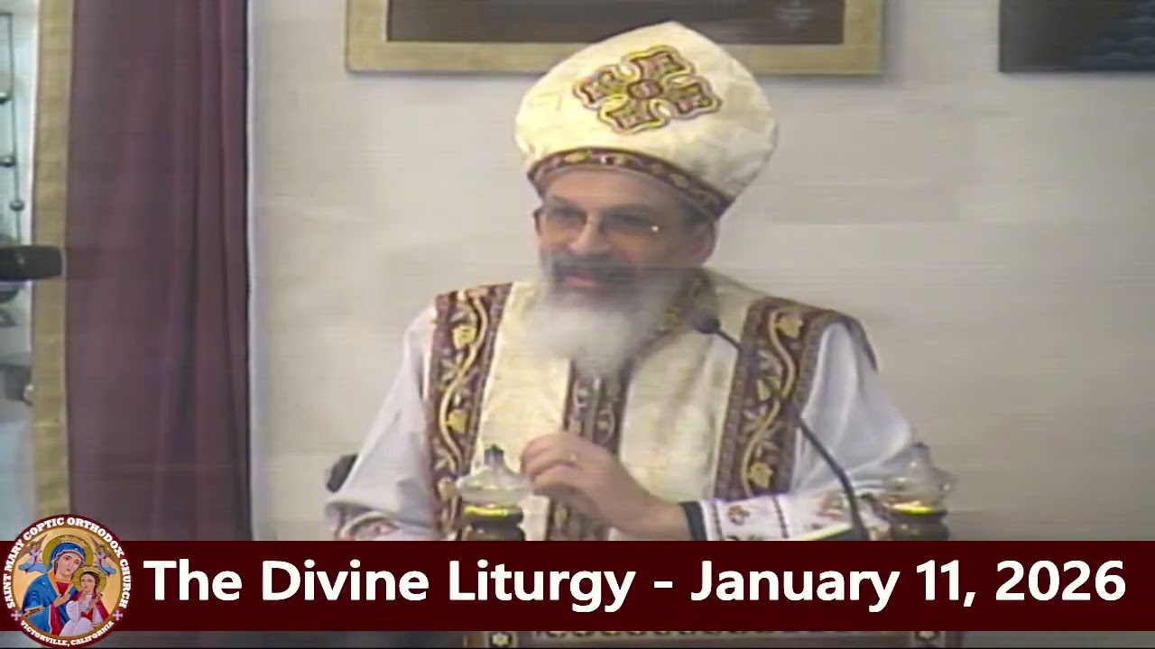 Arabic Sermon of The Divine Liturgy - Fr. Michael Ibrahim - January 11, 2026