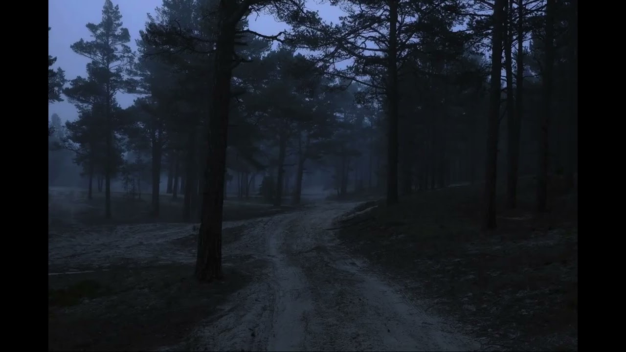 1Hours Deep Calm Sleep Music 🌙Relaxing Night Sounds 