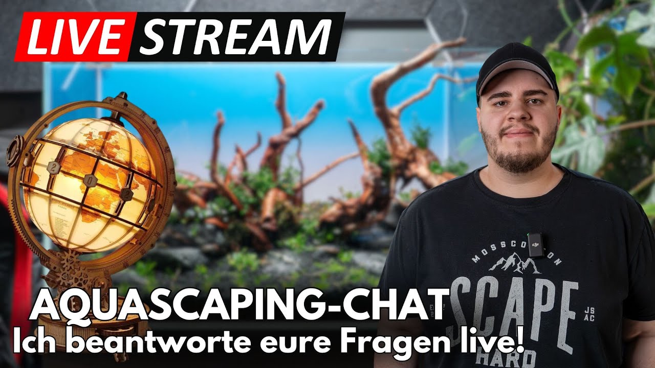 Aquascaping Q&A Livestream – Ich beantworte eure Fragen live!
