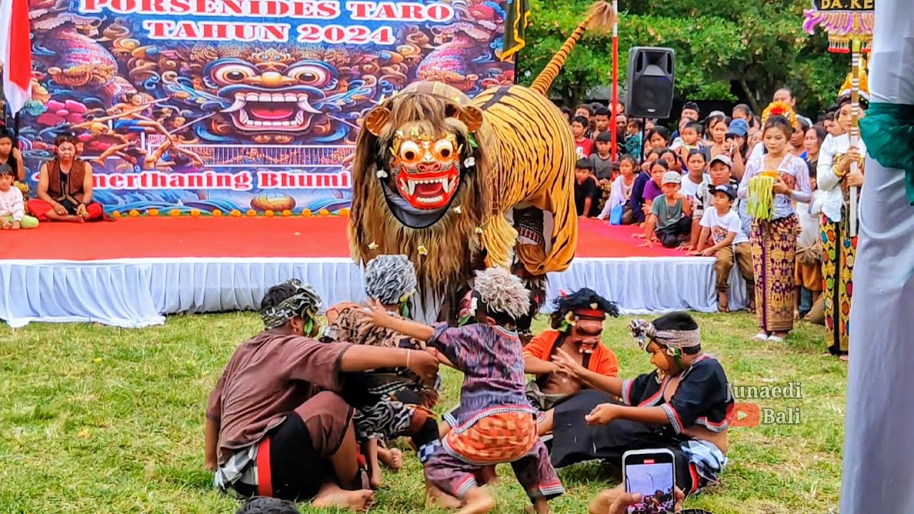 Bapang Barong D.A Ked Festival Ngelawang Barong Porsenides Hut Desa Taro 2024