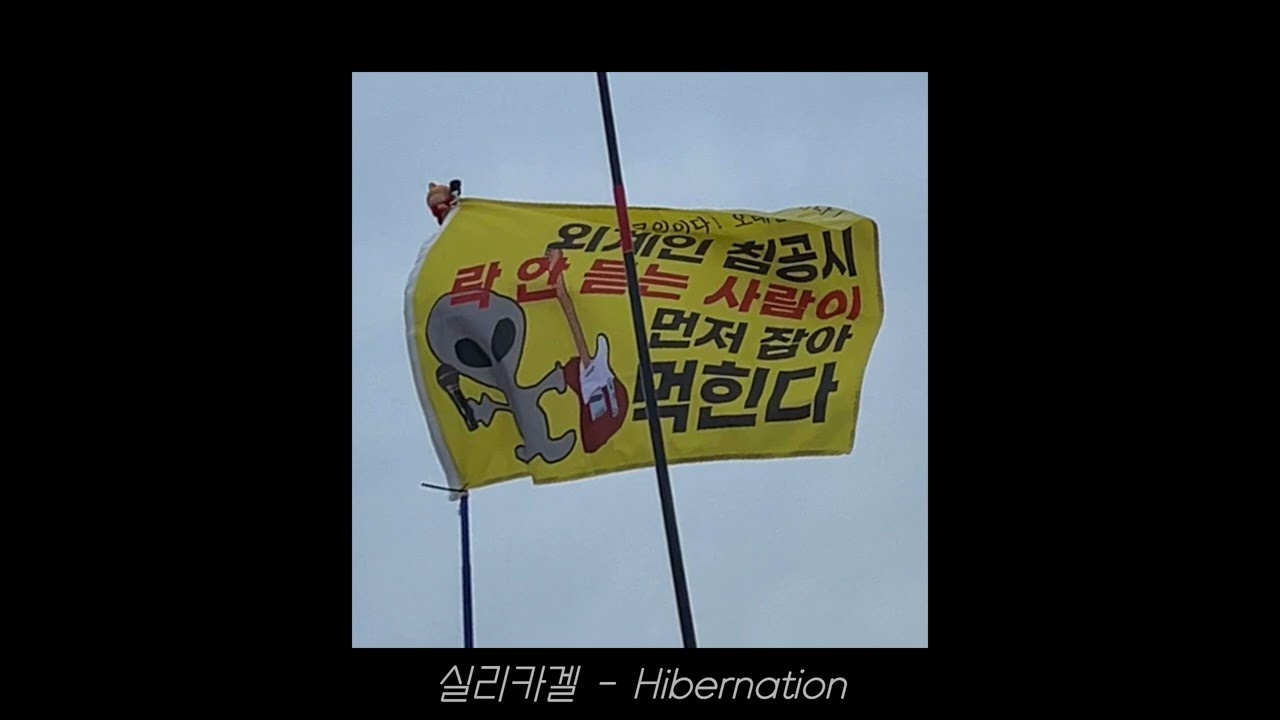 [𝒑𝒍𝒂𝒚𝒍𝒊𝒔𝒕] 주인장 밴드 플리 다 터져서 왔다구요;;