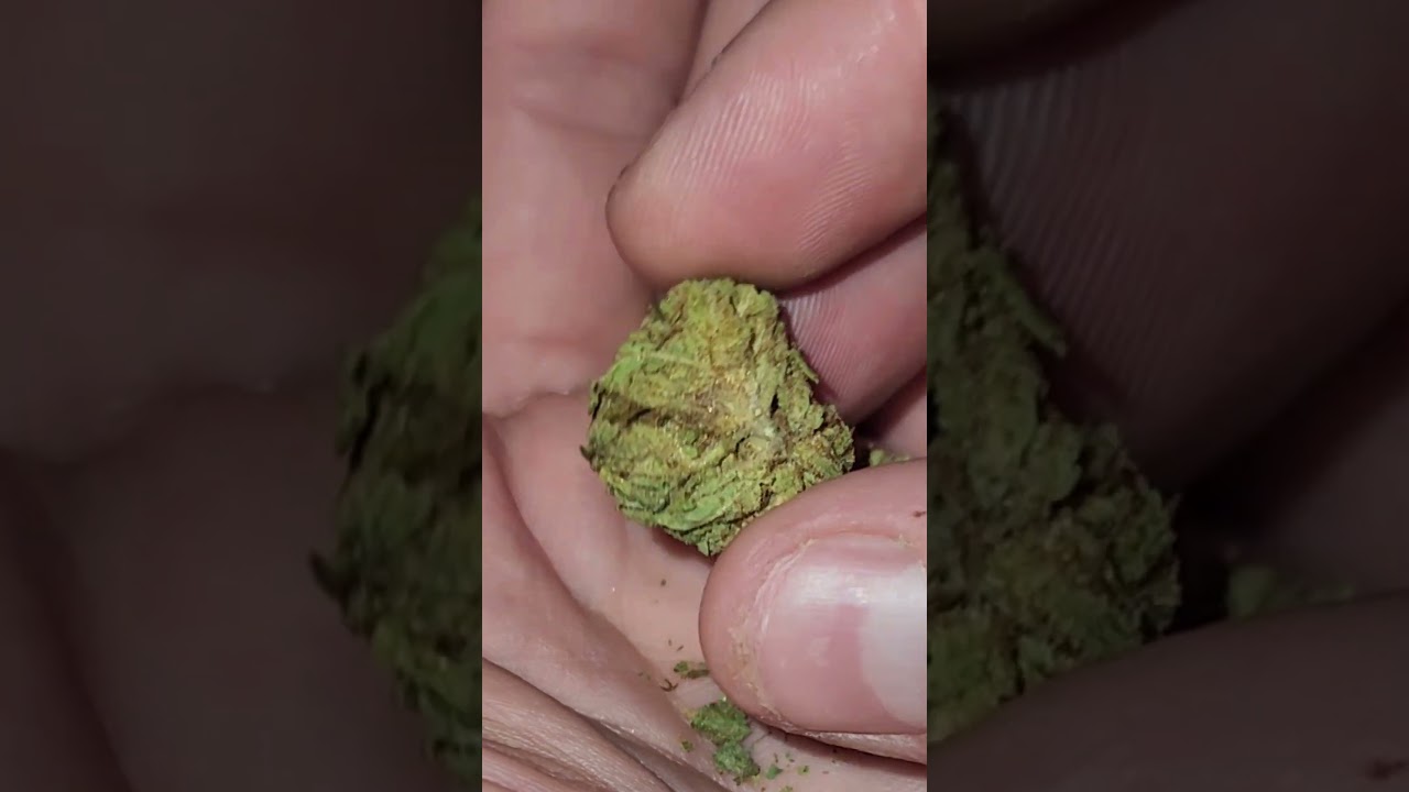 Good Weed vs Bad Weed #thc #cannabistalk101