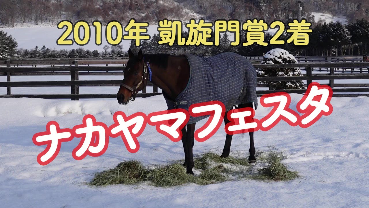 2010年 凱旋門賞2着 ナカヤマフェスタ Nakayama Festa