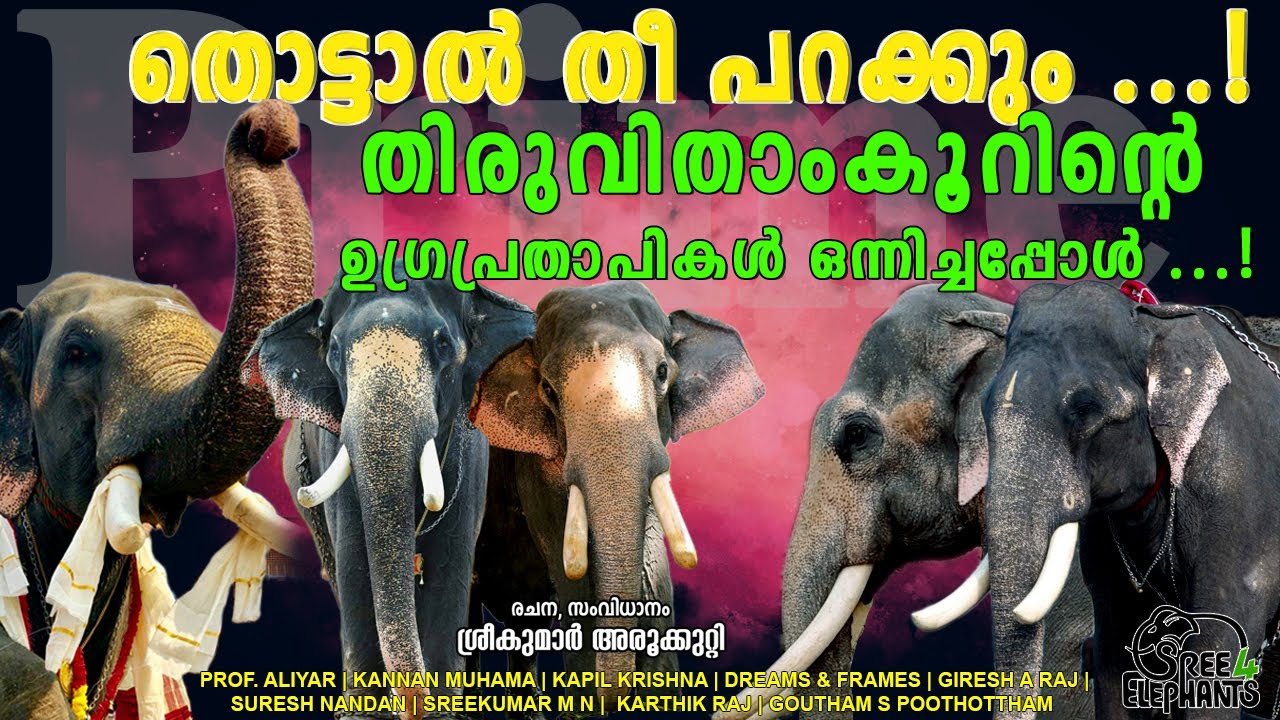 പ്രിയപ്പെട്ട പാപ്പാൻ തിരിച്ചെത്തിയപ്പോൾ ശിവരാജുവിന്റെ ഭാവമാറ്റം .? ഓമല്ലൂർ മണികണ്ഠൻ ഒരസാധ്യ ജൻമം ..!