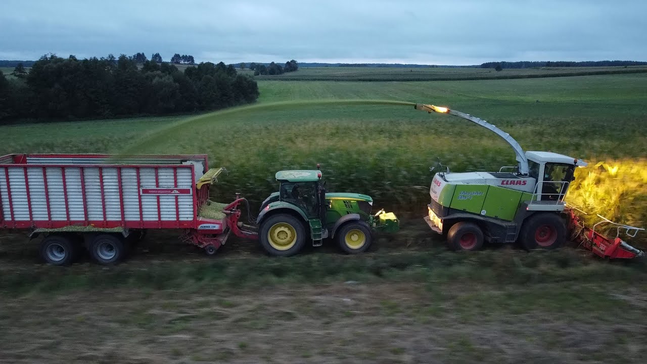 🌽KOSZENIE KUKURYDZY Z FIRMĄ BOR-AGRO🌽 ✓OPOROWA EKIPA✓  🔥JELONKI W AKCJI🔥 DamianAgriculture™️