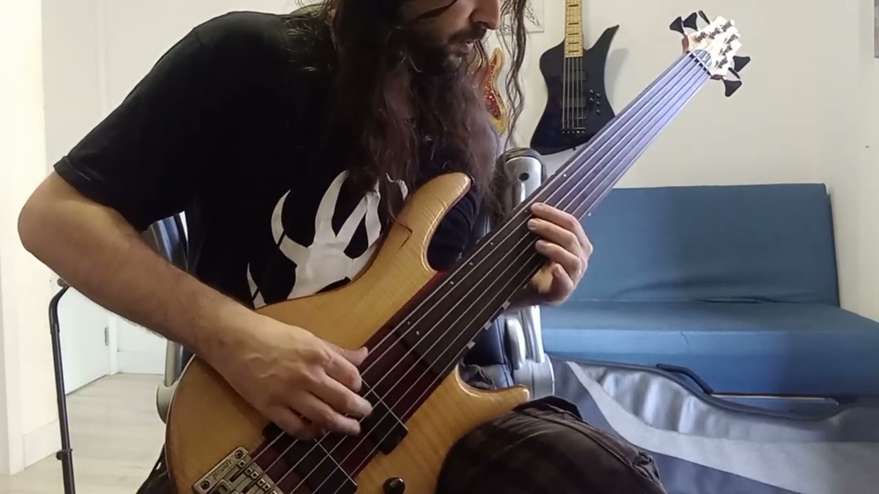 Death - Flesh and the power it holds (Fretless bass cover)