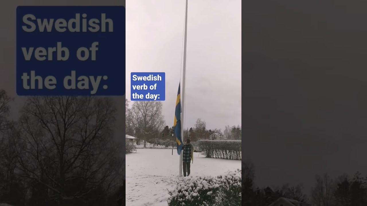 Swedish verb of the day
