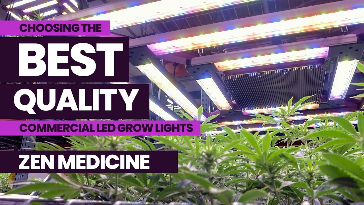 Choosing Best Quality LED Commercial Grow Lights PREVIEW