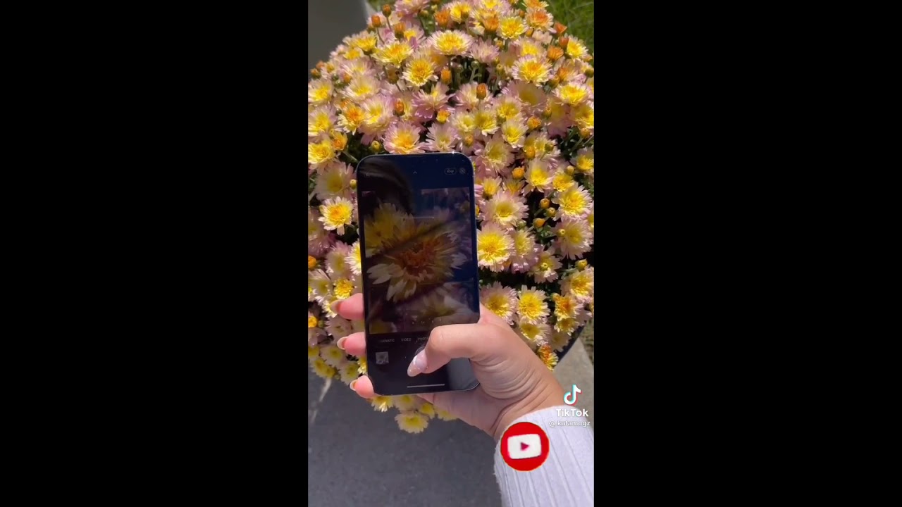 Testing the new iPhone 13 micro camera  subscribe for more videos