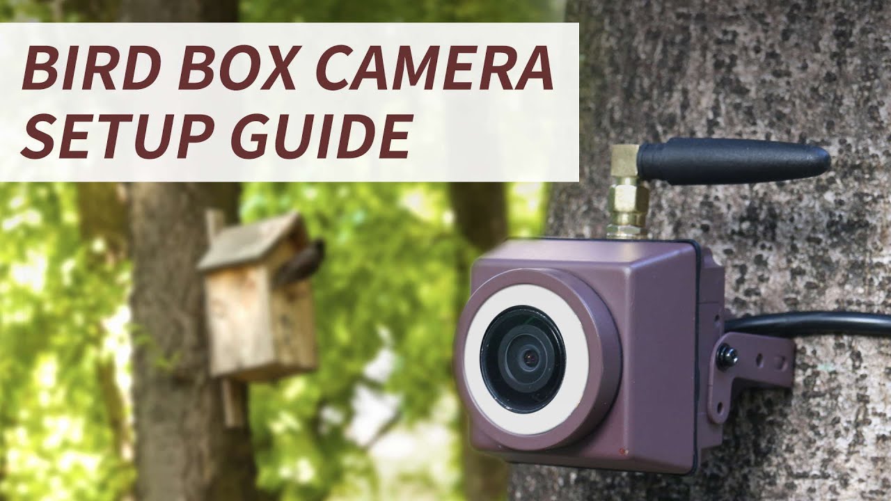 Bird Box Camera Setup with Green-Backyard App: Step-by-Step Guide