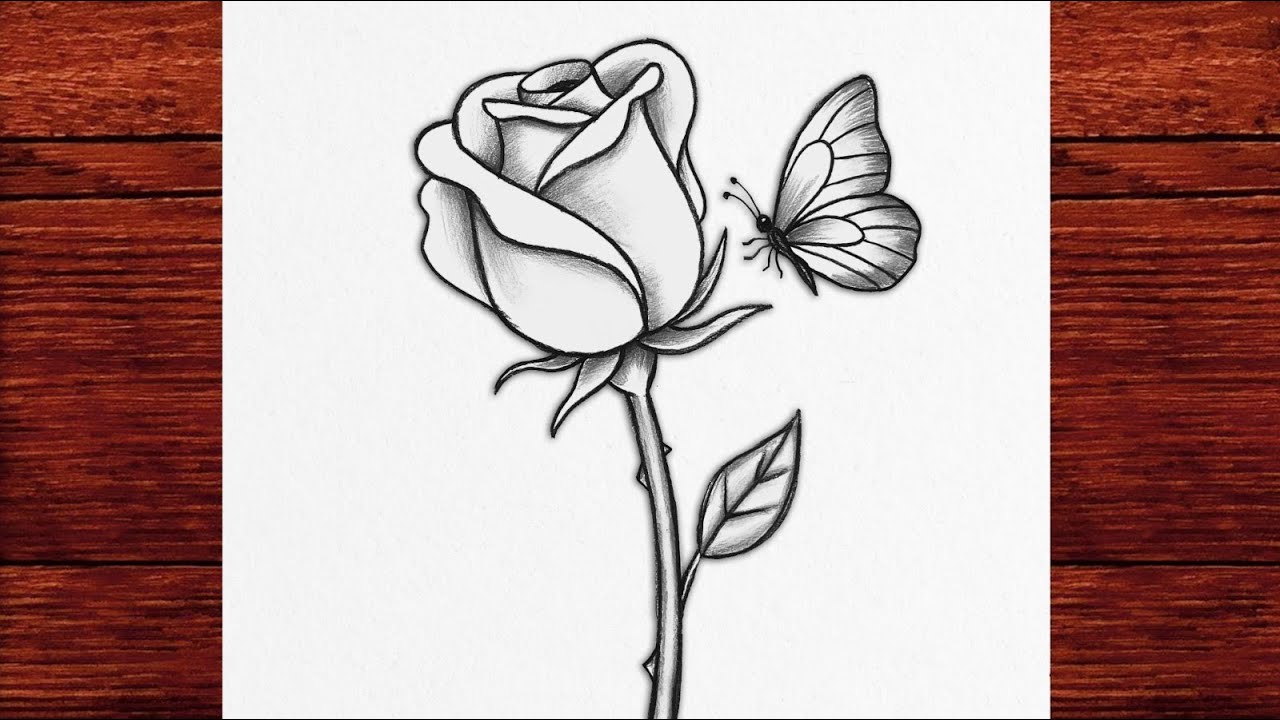 How to Draw a Rose with Butterfly 🌹 Easy Flower & Butterfly Drawing Tutorial for Beginners